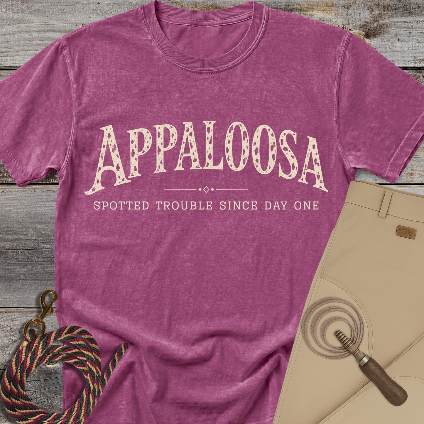Appaloosa Spotted Trouble T-Shirt
