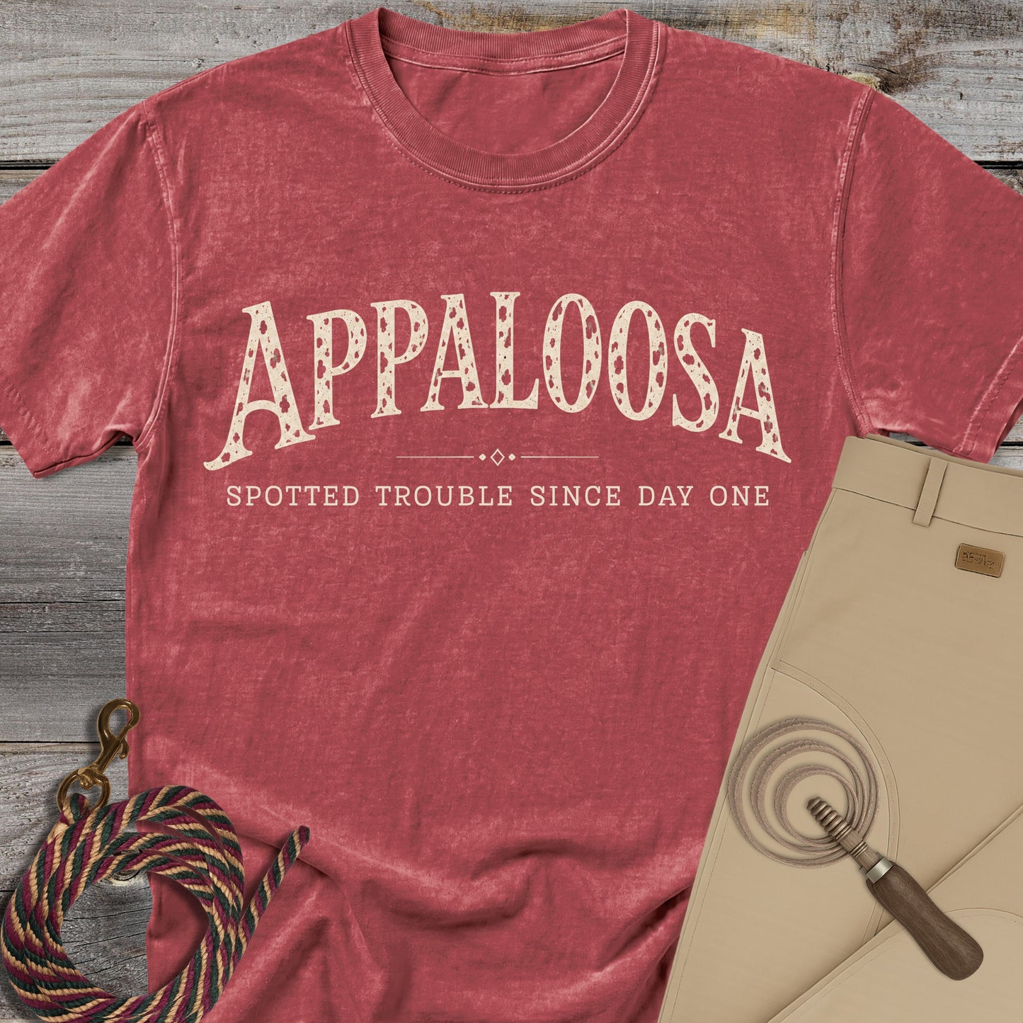 Appaloosa Spotted Trouble T-Shirt