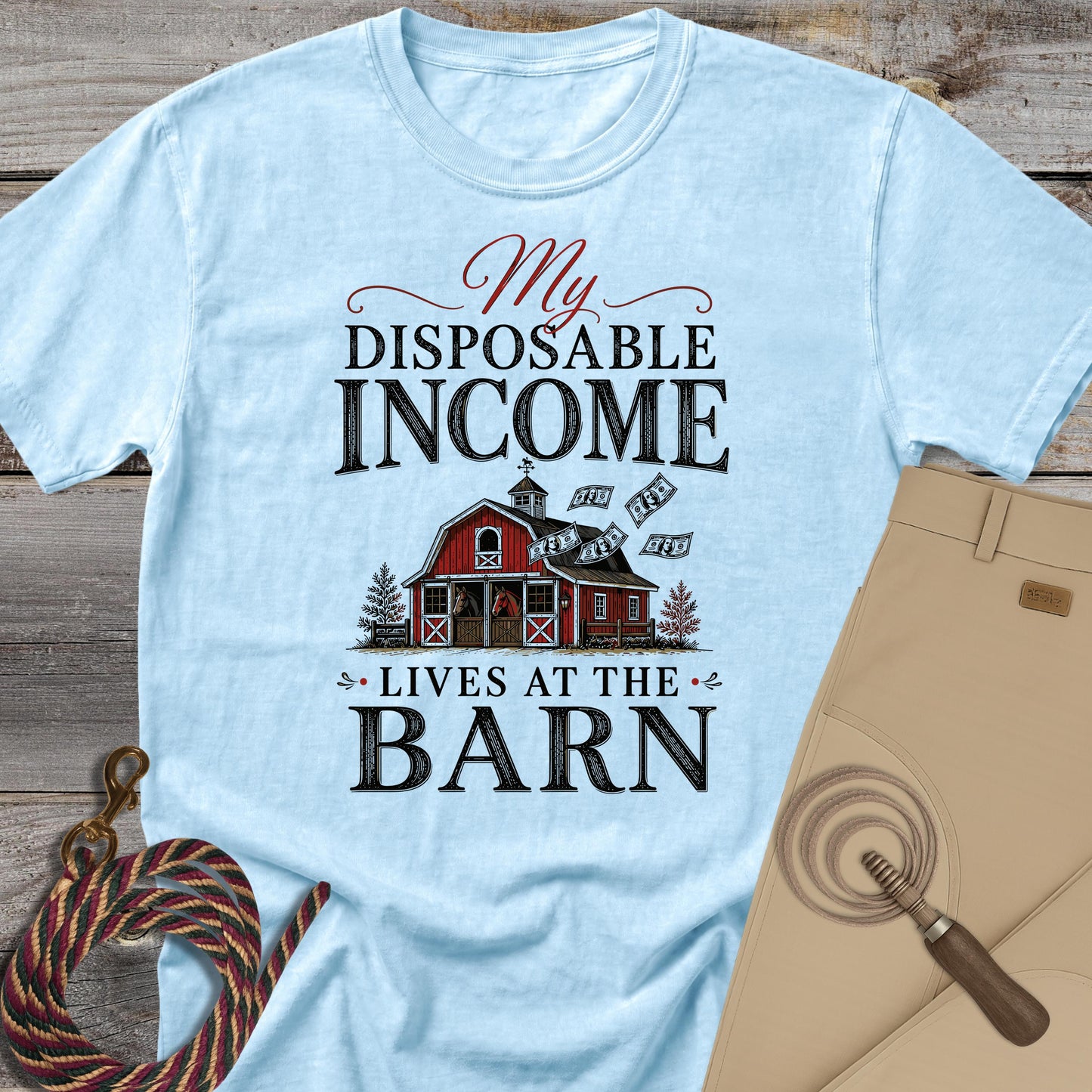 My Disposable Income Lives at The Barn T-Shirt