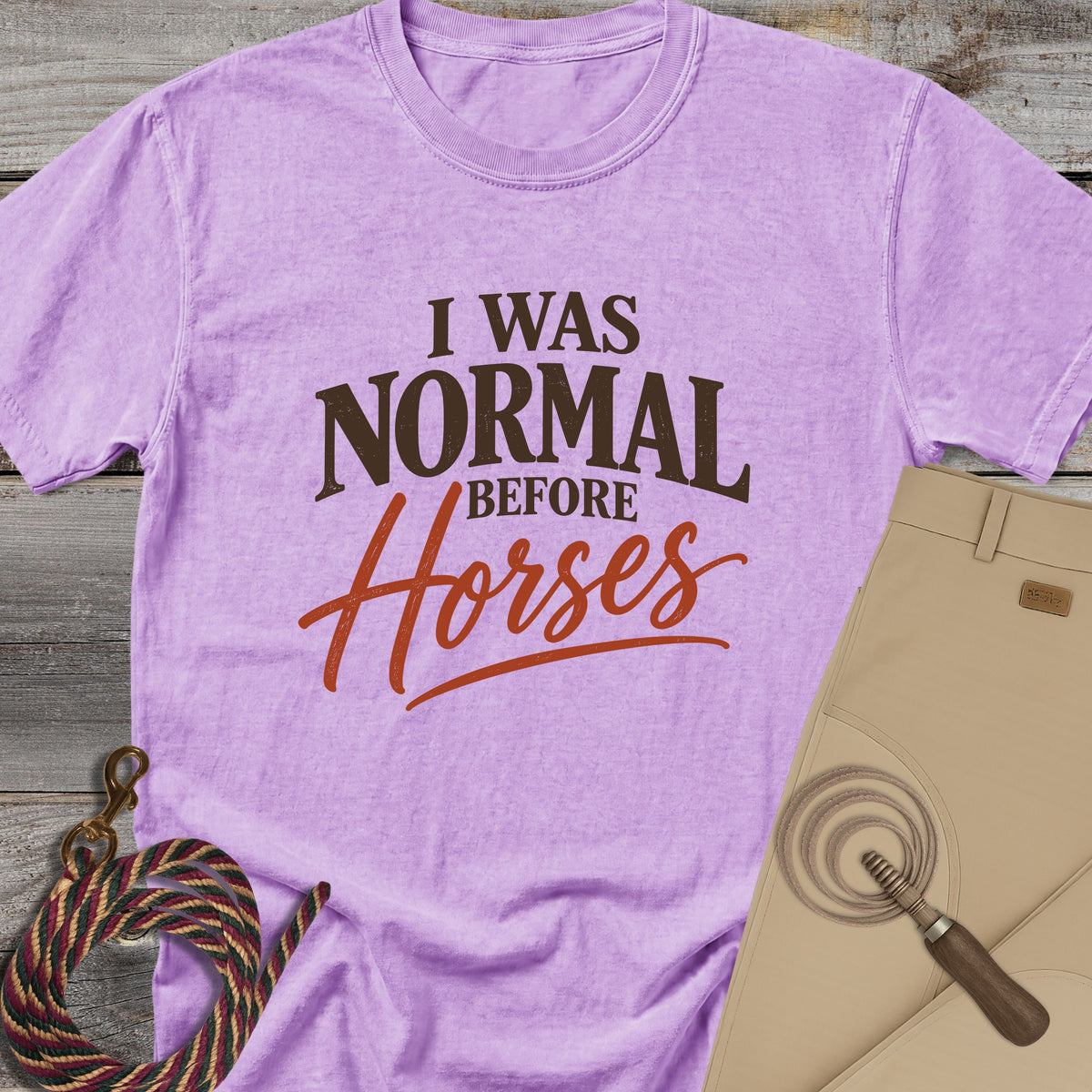 I Was Normal Before Horses T-Shirt